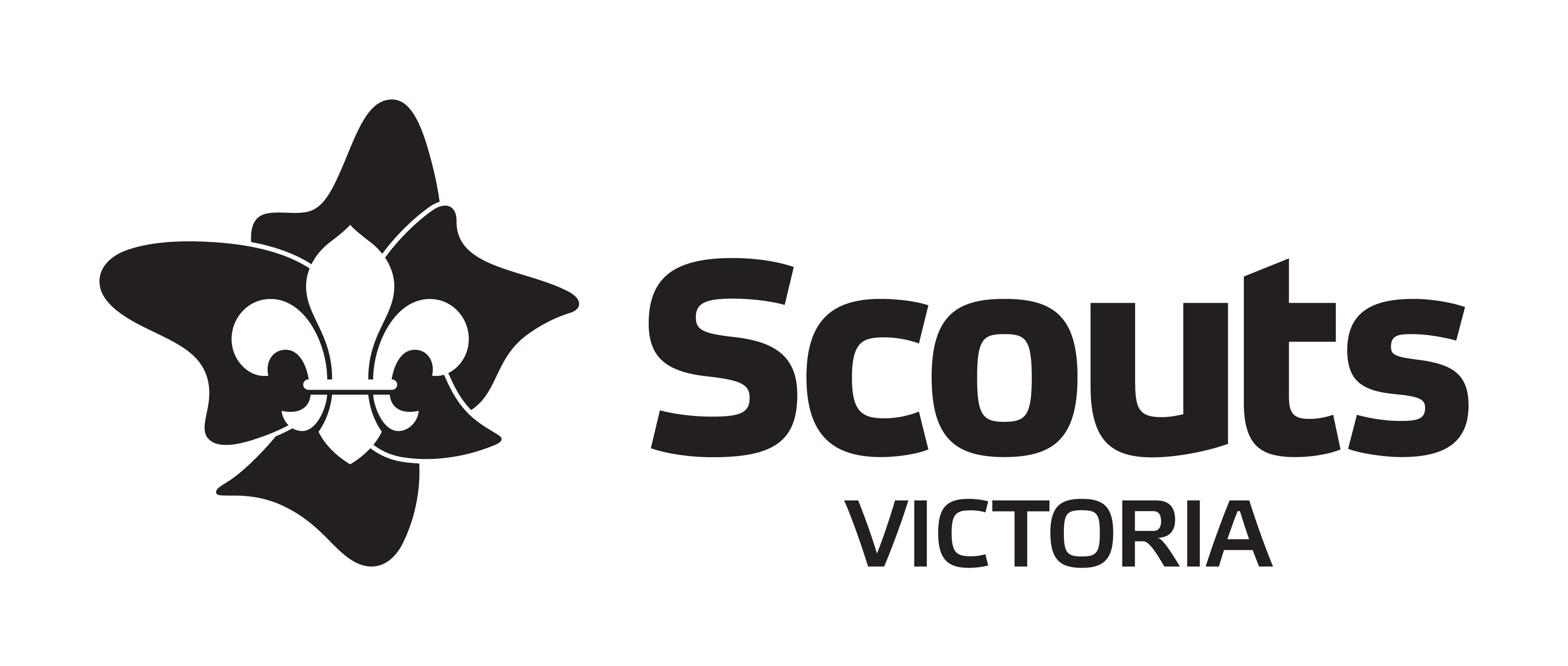 ScoutsVIClogoBlack_CMYK.png